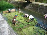 Fish catching began!