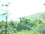 DSCN2718