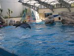 Jump!