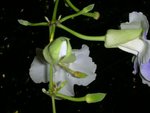DSCN2831