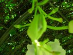 DSCN2832