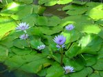 DSCN2841