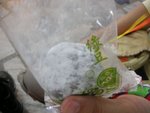 去多次曾記麻糬,擺得2日嘅糯米糍