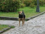 DSCN2376