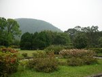 DSCN2378