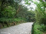 DSCN2384