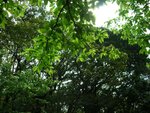 DSCN2386