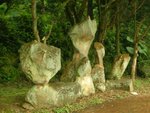 DSCN2442