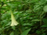 DSCN2447