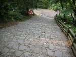 DSCN2448