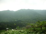 DSCN2452