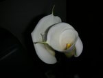 DSCN2456