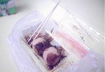 H.K燒墨魚丸,,,燒墨魚丸,,正