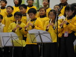 DSCN4882