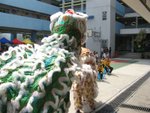 IMG_1299