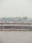 P3060039
