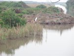 P3060043