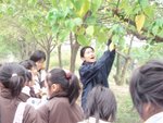 P3060077