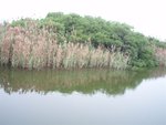 P3060090