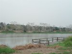 P3060116
