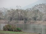 P3060127