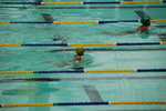 swimmingGala0002