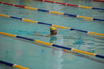 swimmingGala0003