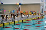 swimmingGala0005