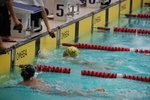 swimmingGala044