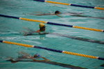 swimmingGala065