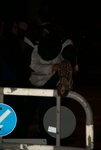 DSC01311
