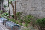 DSC02602