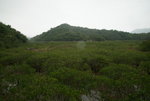 DSC07576