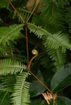 DSC07587