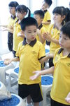 DSC07932