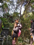 獅子山公園 (59)