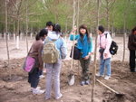 20060416京港教會同植樹5