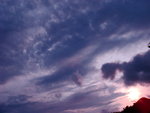 DSC00224