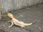 DSC00440