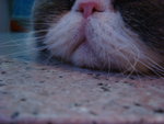 DSC03829