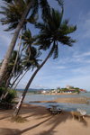 DSC_5927_resize