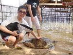 on Turtle island