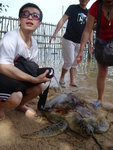 on Turtle island