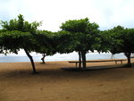 ouside villa is the sea!