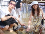 on Turtle island