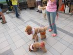 IMG_7442