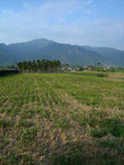 DSC08478