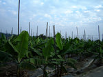 DSC08485