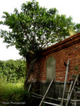 DSC08616