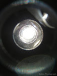 DSC08884